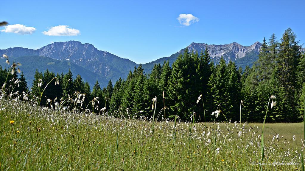 Haus Obermoser Dellach im Drautal Екстер'єр фото
